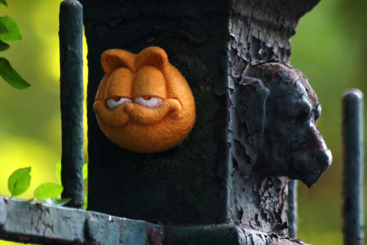 garfield_kolodko